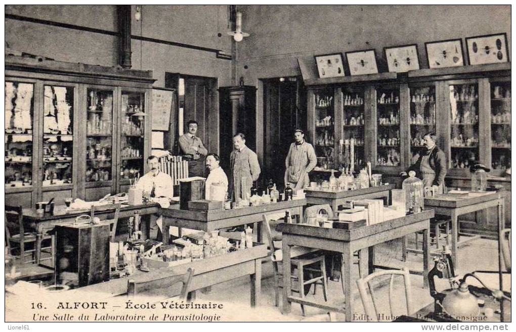 ALFORT : (94) Ecole Vétérinaire. Une Salle Du Laboratoire De Parasitologie - Autres & Non Classés