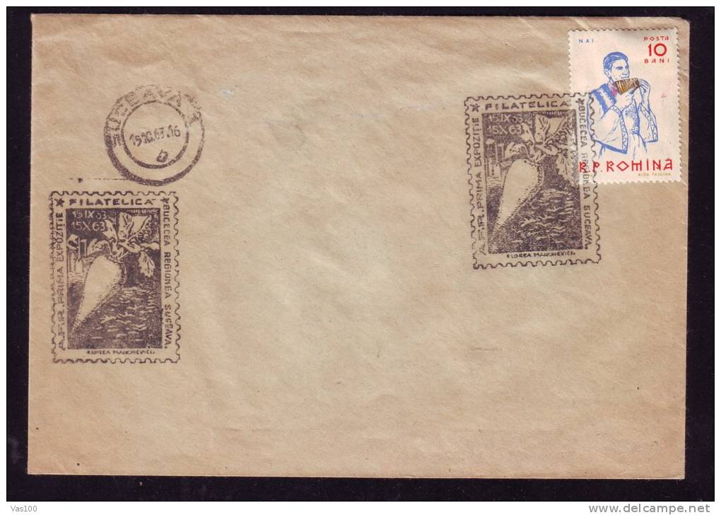 CARROT, 1963, METER MARK ON COVER, ROMANIA - Groenten