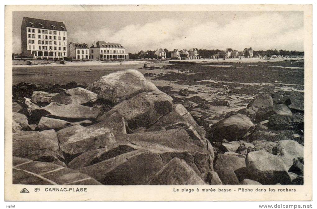 Carnac Plage - La Plage à Marée Basse - Pêche Dans Les Rochers - Carnac