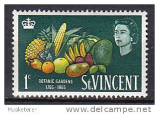 St. Vincent 1965 Mi. 199      1 C Botanische Gärten Tropische Früchte MH* - St.Vincent (1979-...)