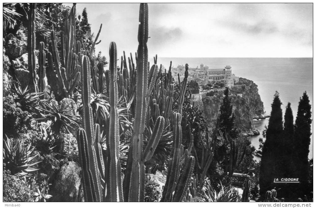 MONACO - Le Jardin Exotique - Vue Sur Le Rocher De Monaco - Exotischer Garten