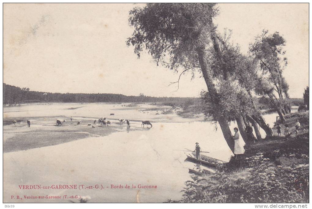 VERDUN-sur-GARONNE.  _  Bords De La Garonne. Troupeau De Bovins Sur Une Plage. Pecheur Et Son Filet Accompagné De Toute - Verdun Sur Garonne