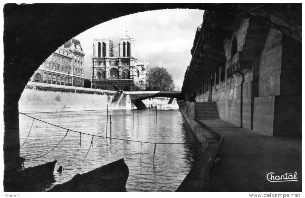 PARIS - Promenade Sous Les Ponts - La Seine Et Ses Bords