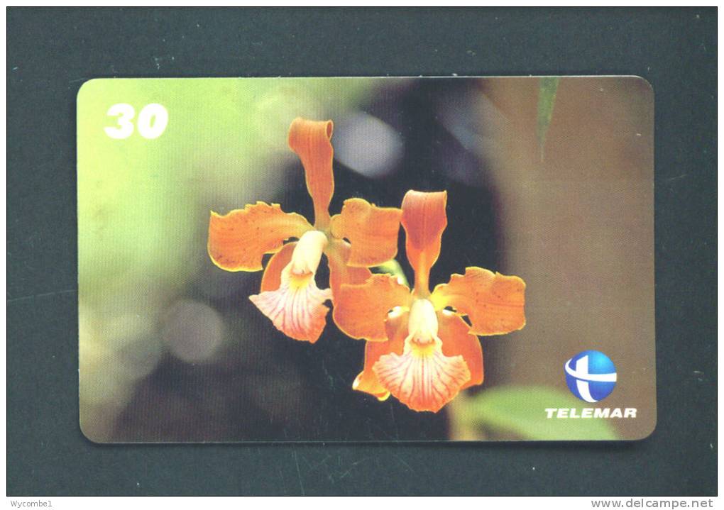 BRASIL  -  Inductive Phonecard As Scan - Brésil