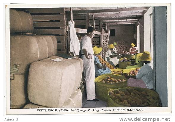 Nassau , Press Room , Psilinakis Sponge Packing House , Emballage Des Eponges, - Bahamas