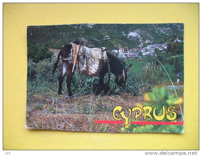 Mountain Village And Local Transport,donkey - Chypre