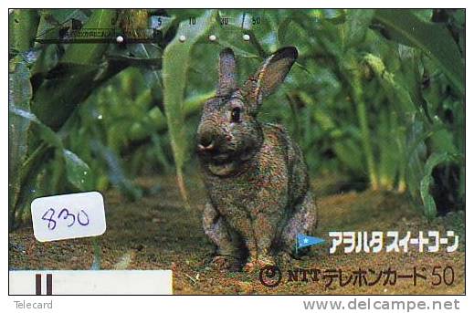 Télécarte Japon * LAPIN (830) RABBIT * PHONECARD JAPAN * KANINCHEN * KONIJN * CONEJO * TELEFONKARTE * FRONTBAR - Lapins