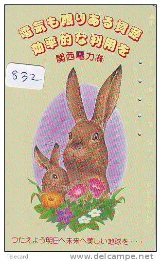 Télécarte Japon * LAPIN (832) RABBIT * PHONECARD JAPAN * KANINCHEN * KONIJN * CONEJO * TELEFONKARTE - Lapins