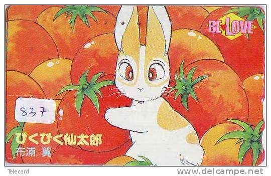 Télécarte Japon * LAPIN (837) RABBIT * PHONECARD JAPAN * KANINCHEN * KONIJN * CONEJO * TELEFONKARTE - Rabbits