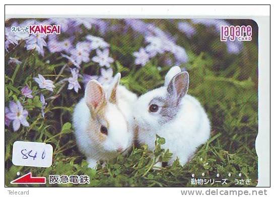 Carte Prépayée Japon * LAPIN (840) RABBIT * CARD JAPAN * KANINCHEN * KONIJN * CONEJO * KARTE - Kaninchen