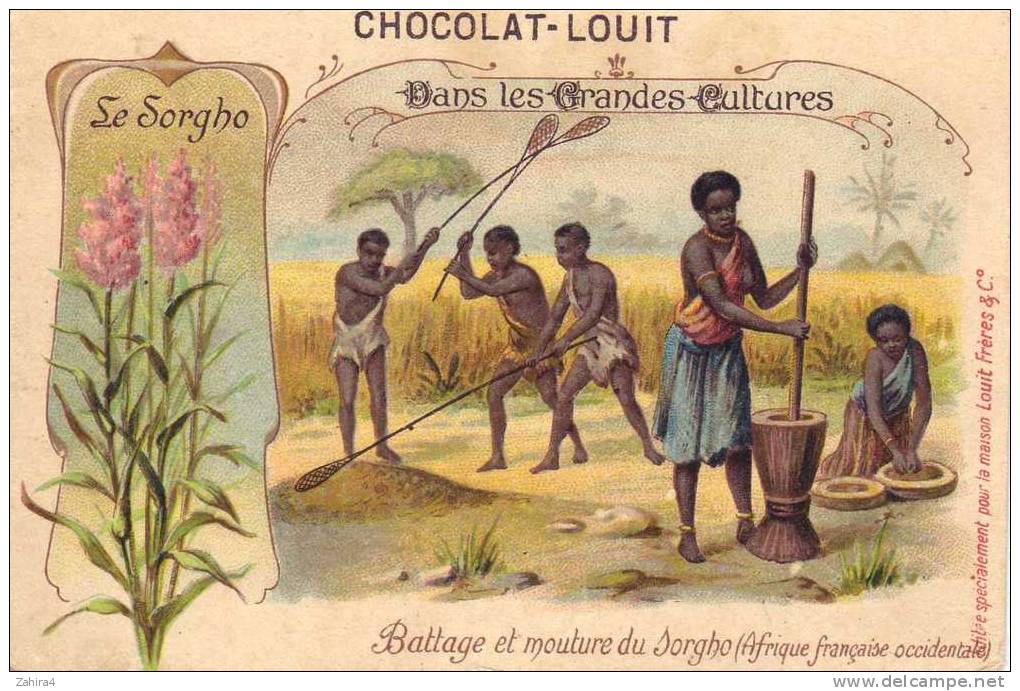 Dans Les Grandes Cultures - Le Sorgho - Récolte Et Mouture Du Sorgho (Afrique Française Occidentale) - Louit