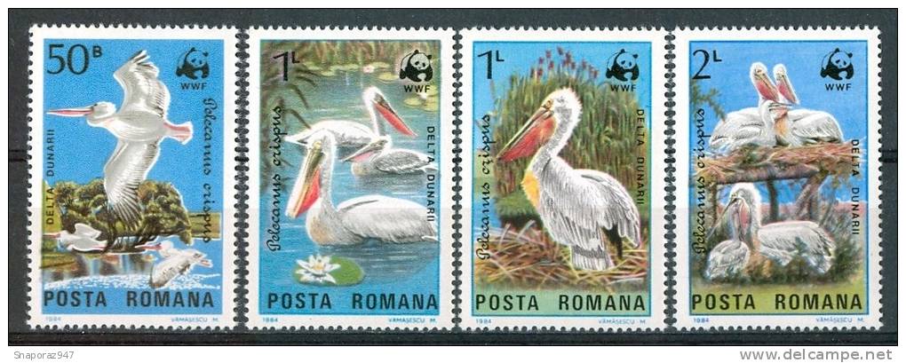 1984 Romania Pelicans Uccelli Birds Vogel Oiseaux Set MNH** T17 - Pélicans