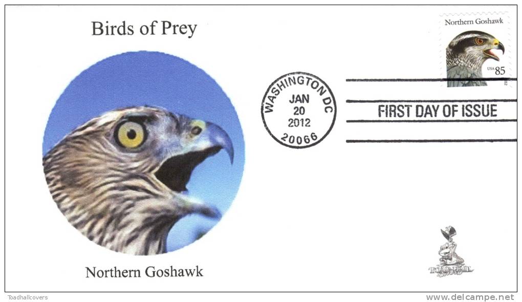 Birds Of Prey First Day Cover, From Toad Hall Covers, #2 Of 6 - 2011-...