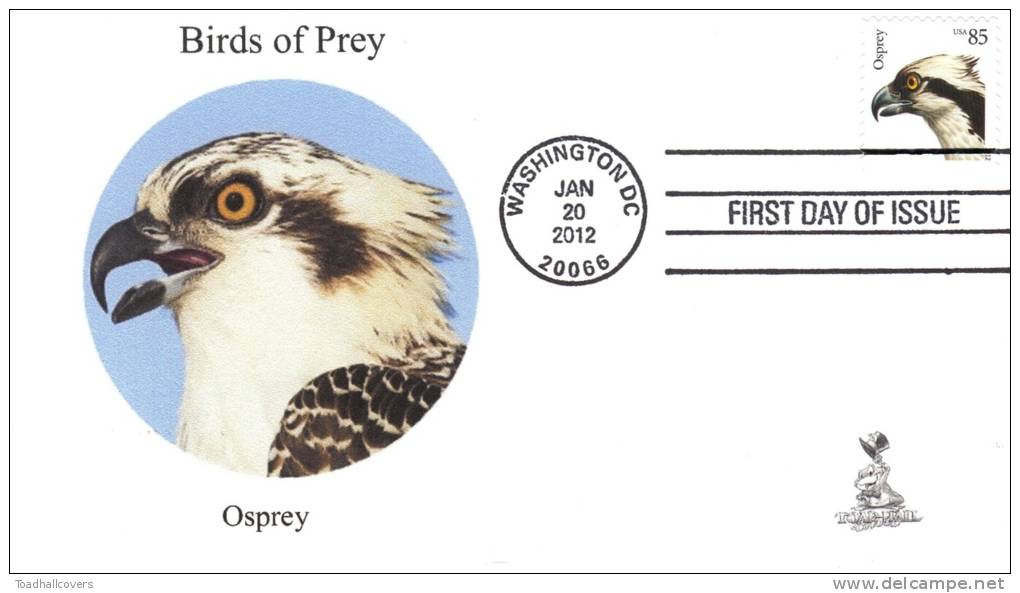 Birds Of Prey First Day Cover, From Toad Hall Covers, #4 Of 6 - 2011-...