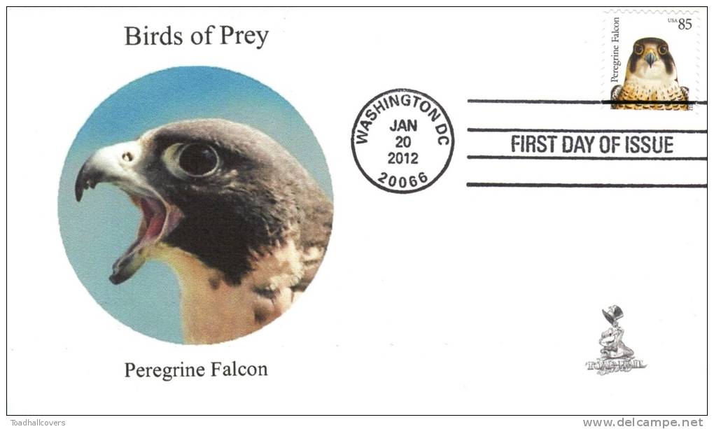 Birds Of Prey First Day Cover, From Toad Hall Covers, #5 Of 6 - 2011-...