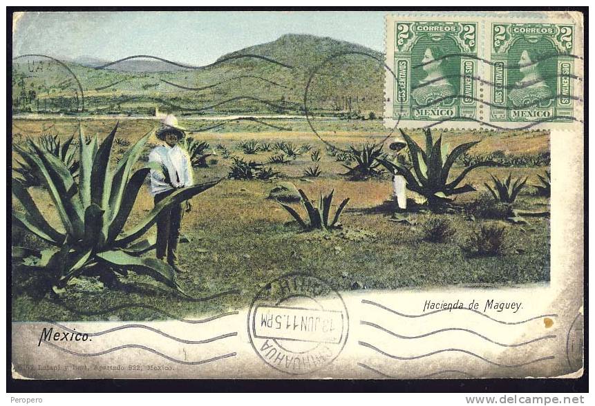 MEXICO     Hacienda De Maguey    1911.        Old Postcard - Mexique