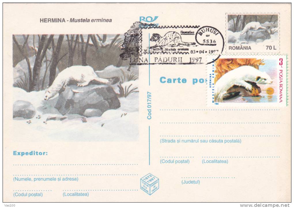 RONGEURS, 1997, CARD STATIONERY, ENTIER POSTAL, OBLITERATION CONCORDANTE, ROMANIA - Roedores