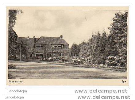 EPE / BLOEMSTRAAT - Epe