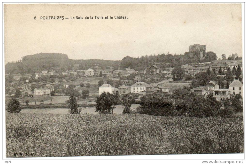 Pouzauges - Le Bois De La Folie Et Le Château - Pouzauges