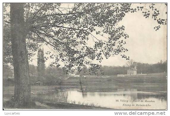 20. VELIZY. FORET DE MEUDON. ETANG DE BRISEMICHE. - Velizy