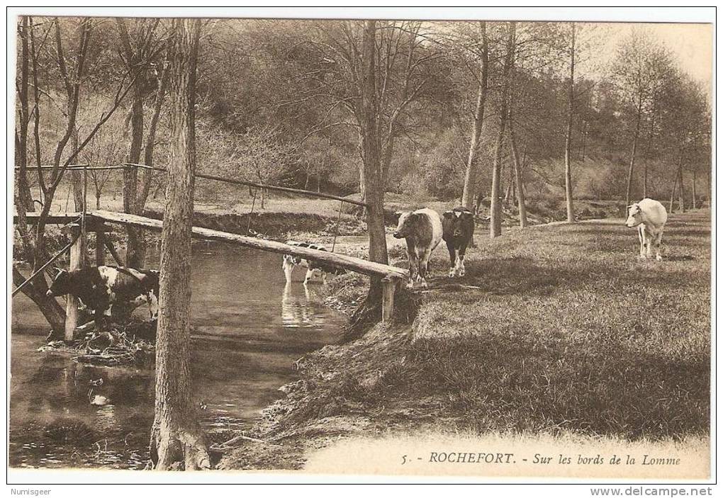 ROCHEFORT    ---- Sur Les Bords De La Lomme - Rochefort