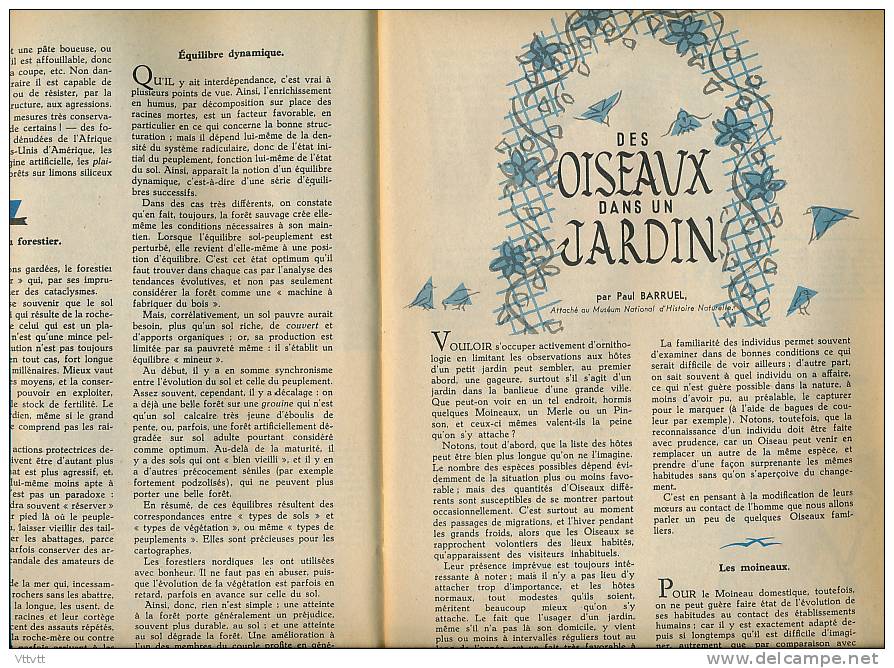 NATURALIA, N° 35 (1956) : Crustacés, Crabes, Pinsons, Rouge-Gorge, Merle, Batraciens, Grenouille, Crapaud, Champignons - Animals