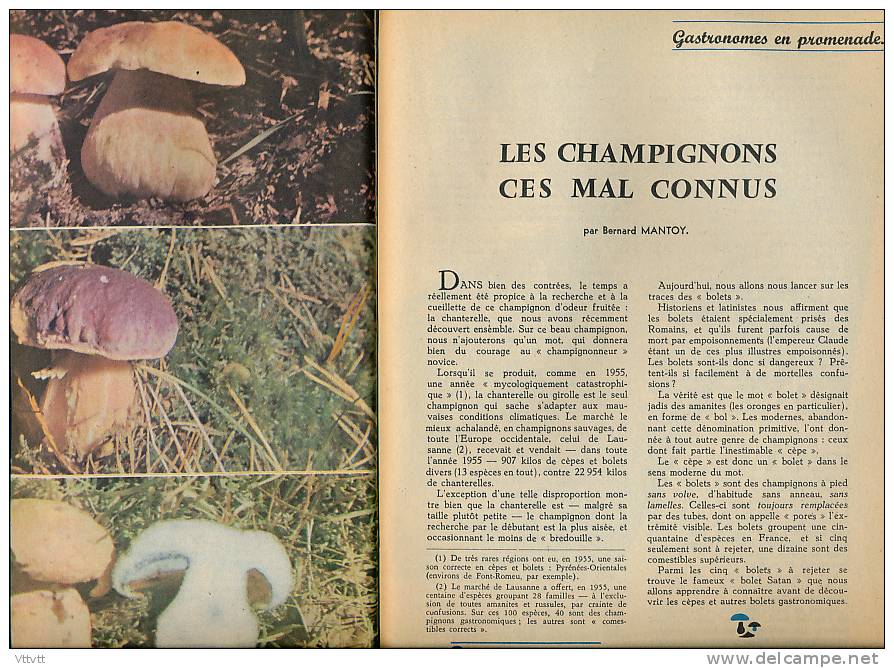 NATURALIA, n° 35 (1956) : Crustacés, Crabes, Pinsons, Rouge-Gorge, Merle, Batraciens, Grenouille, Crapaud, Champignons