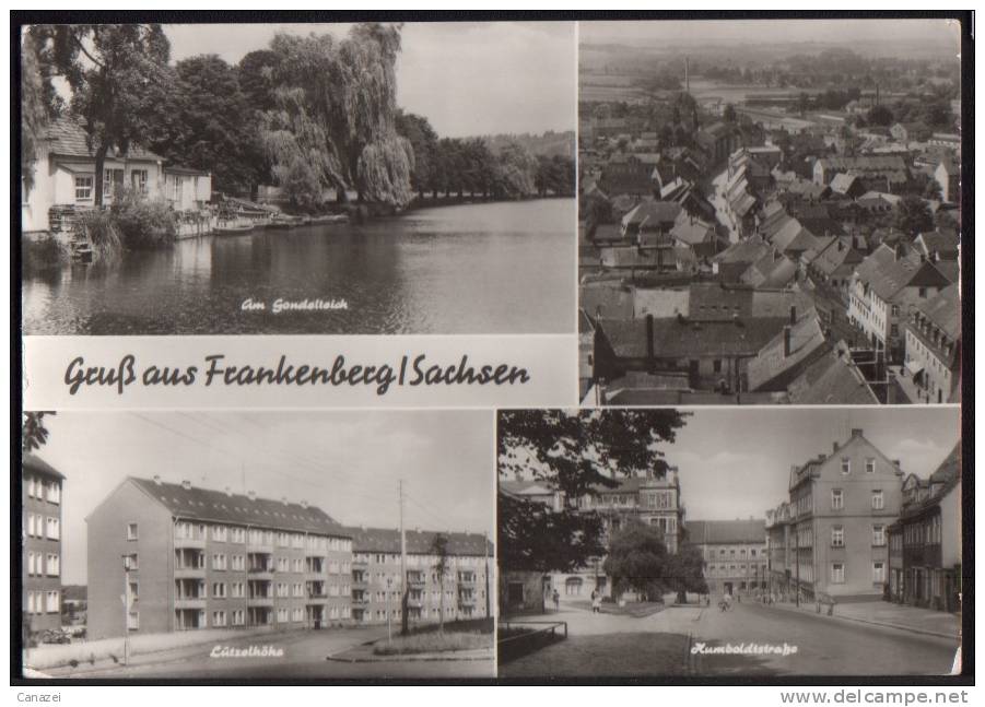 AK Frankenberg: Lützelhöhe, Gondelteich, Humboldtstraße, Gelaufen, 1976 - Frankenberg