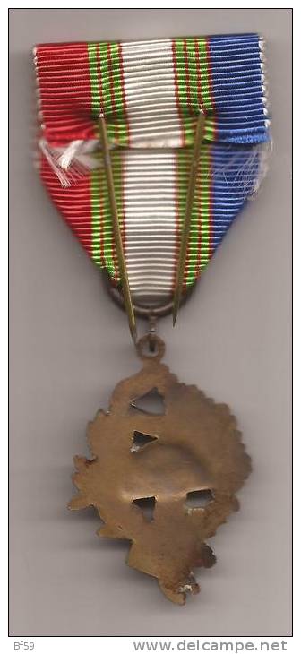 Médaille Française UNC "Union Nationale Des Combattants" - Francia