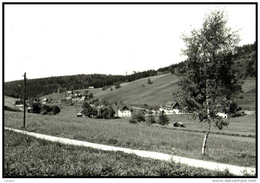 AK Rehefeld Im Osterzgebirge, 1962, Ung - Rehefeld