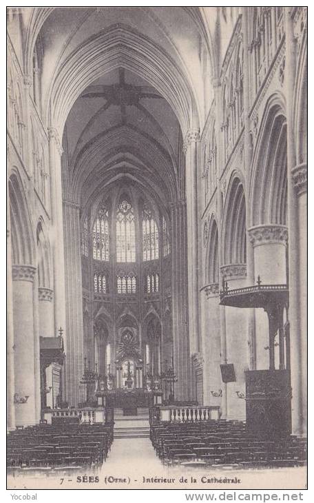 Cp , 61 , SÉES , Intérieur De La Cathédrale - Sees