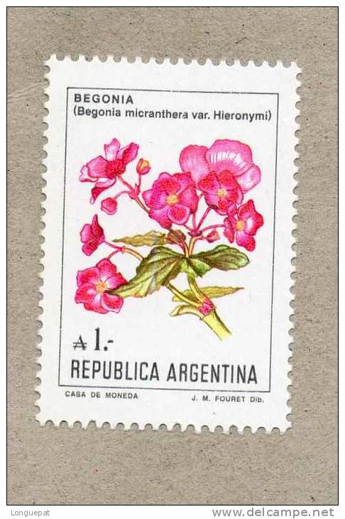 ARGENTINE : Fleur : Bégognia  (Begonia Micranthera, Var. Hieronymi) - Begoniaceae - Ungebraucht