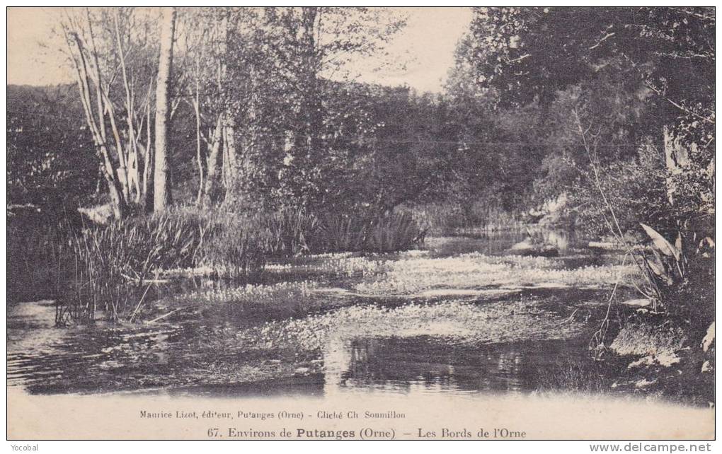 Cp , 61 , PUTANGES , Environs , Les Bords De L'Orne - Putanges