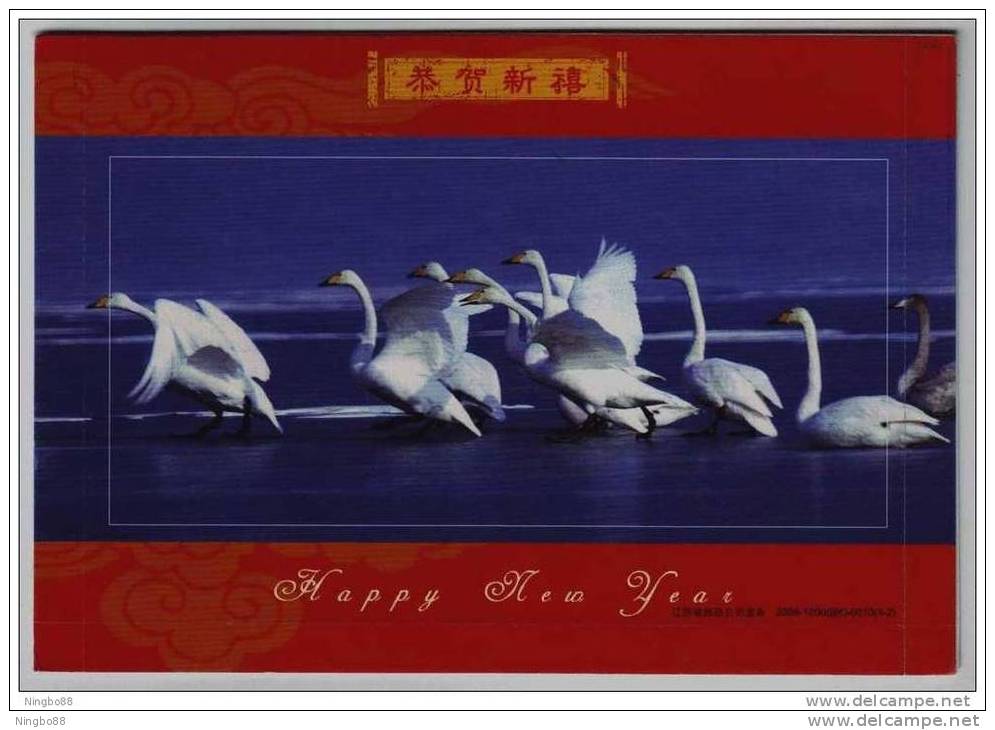Swan Bird,China 2008 Jiangsu New Year Greeting Advertising Pre-stamped Letter Card - Cygnes