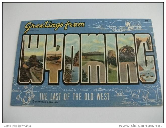 U.s.a. Greetings Frrom Wyoming The Last Of The Old West - Casper