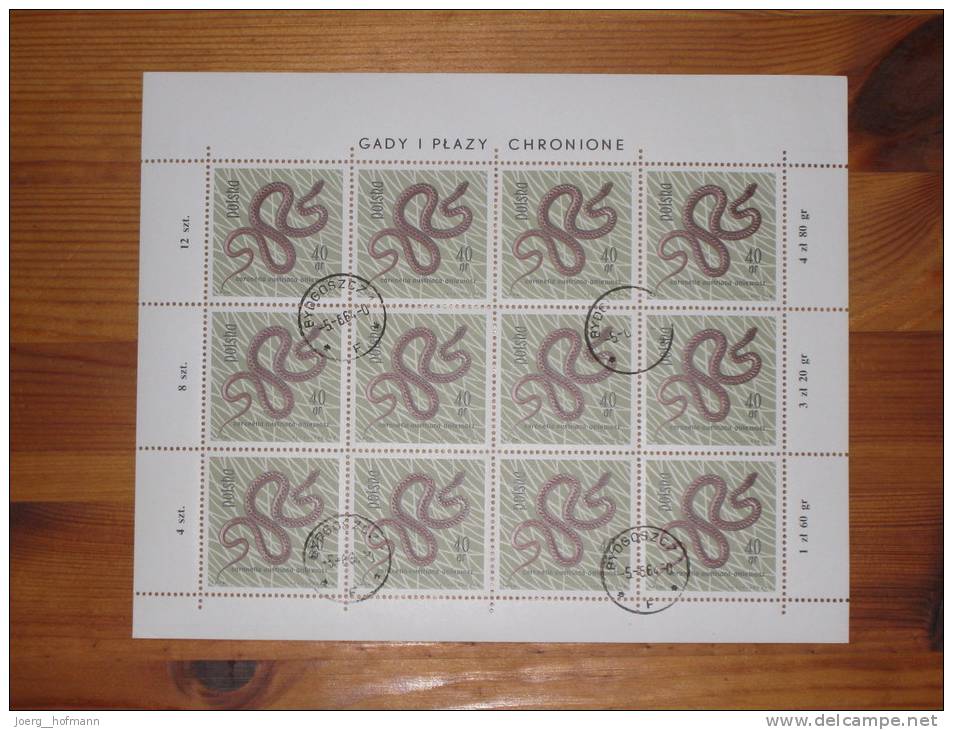 Polen Poland Sheet Bogen Snake Schlange Gestempelt 0 Used 40 Gr. Stempel 5.6.1964 Byogoszcz Druckereizeichen - Snakes