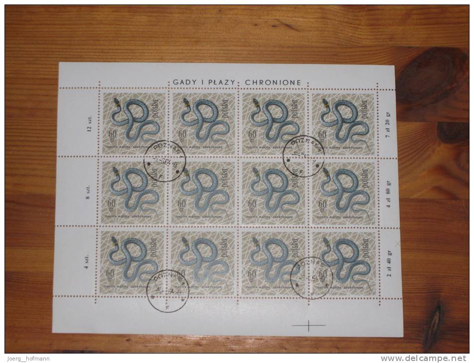 Polen Poland Sheet Bogen Snake Schlange Gestempelt 0 Used 60 Gr. Stempel 5.6.1964 Poznan Druckereizeichen - Snakes