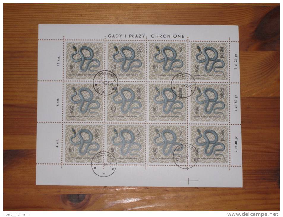 Polen Poland Sheet Bogen Snake Schlange Gestempelt 0 Used 60 Gr. Stempel 5.6.1964 Poznan Druckereizeichen - Snakes