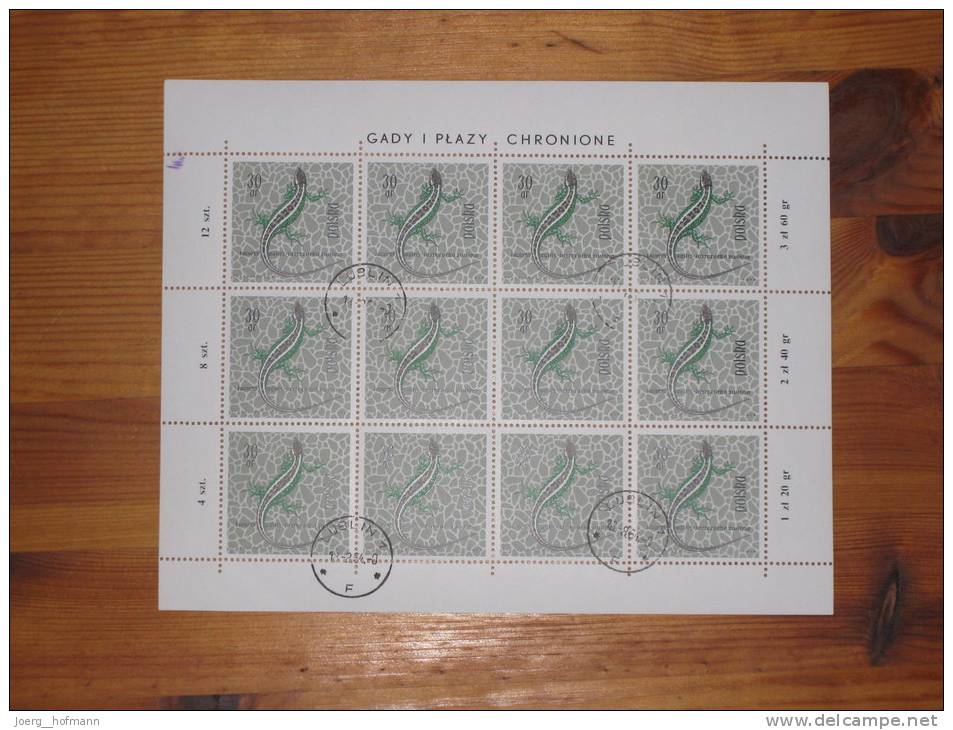 Polen Poland Sheet Eidechse Salamander Gestempelt 0 Used 30 Gr. Stempel 18.8.1964 Lublin Druckereizeichen - Blocks & Kleinbögen