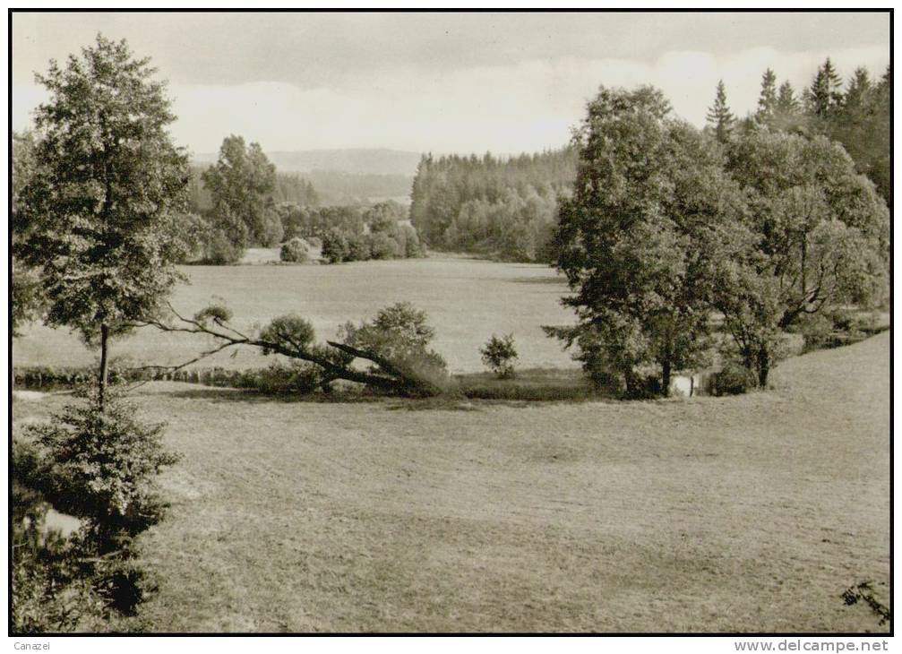 AK Gegend Um Pritzwalk, Gel, 1966 - Pritzwalk