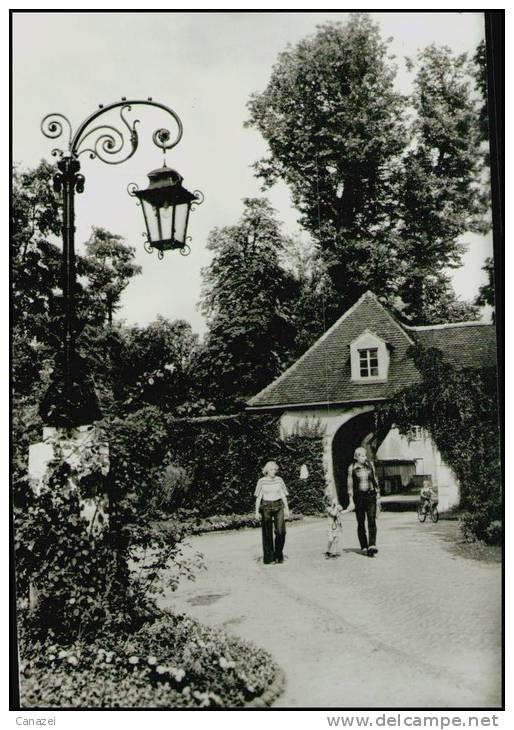 AK Pulsnitz (bei Kamenz, Bischofswerda), Klinik Für Lungenkrankheiten, Gel. 1981 - Pulsnitz