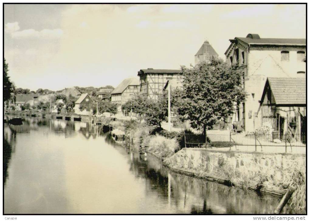 AK Plau/Mecklenburg, Strandstraße, Gelaufen 1973 - Plau