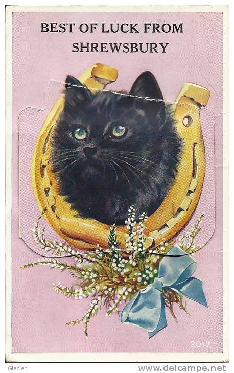 Best Of Luck From SHREWSBURY -  12 Vieuws - Card  With System - 1955 - Shropshire