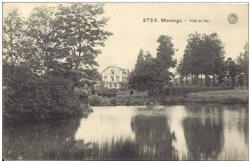 2753. - MONTAIGU - Scherpenheuvel - Villa Du Lac - Scherpenheuvel-Zichem