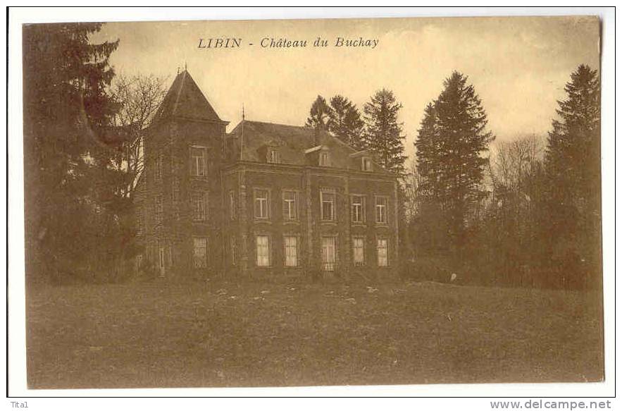 D6580 - Libin - Château Du Buchay - Libin
