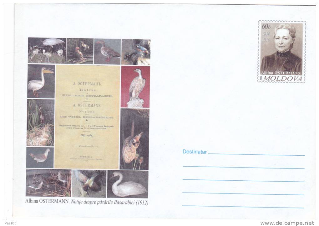 BIRDS, STORK, SWAN, PELICAN, 2006, COVER STATIONERY, ENTIER POSTAL, UNUSED, MOLDOVA - Cisnes