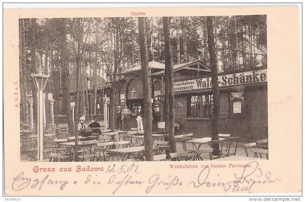 Gruss Aus Sadowa Waldschänke Von Gustav Purrmann Sadova Hradec Králové Bahnpost BERLIN BRESLAU ZUG 1100 Gelauf 12.6.1901 - Boehmen Und Maehren