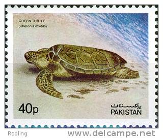 Pakistan 1981, Turtle, Michel 548, MNH 16904 - Turtles