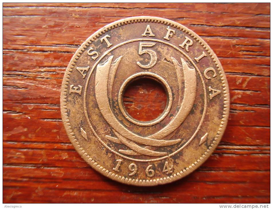 BRITISH EAST AFRICA USED FIVE CENT COIN BRONZE Of 1964 ´H´ - Colonie Britannique