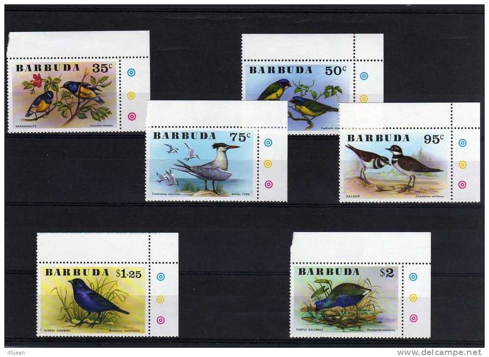 Barbuda:1976 Très Belle Série Oiseaux N** Coin De Feuille Cote 26.50 Euros - Collections, Lots & Series